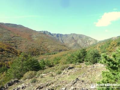 Parque Natural de Tejera Negra - Cantalojas - Guadalajara - Sierra de Ayllón;programa de actividade